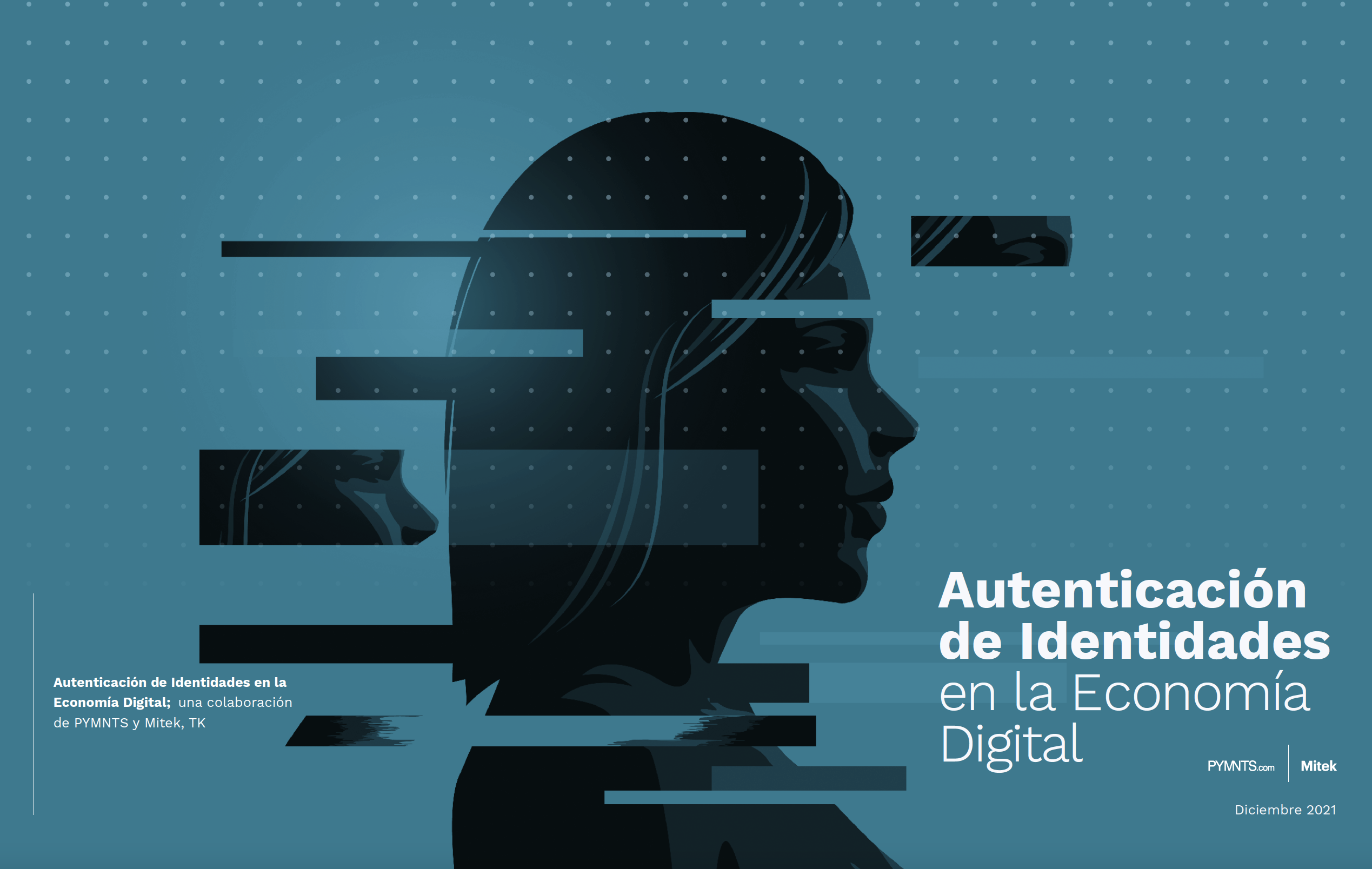 Authenticating identities in the digital economy